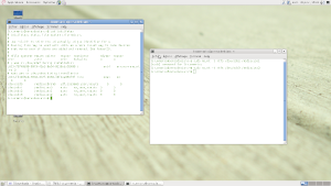 Capture d'écran de mon bureau sous Debian Squeeze 6