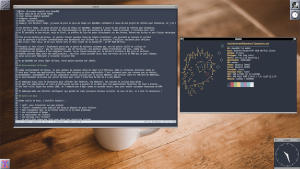 Capture d'écran de mon bureau sous OpenBSD : WindowMaker avec un terminal ouvert